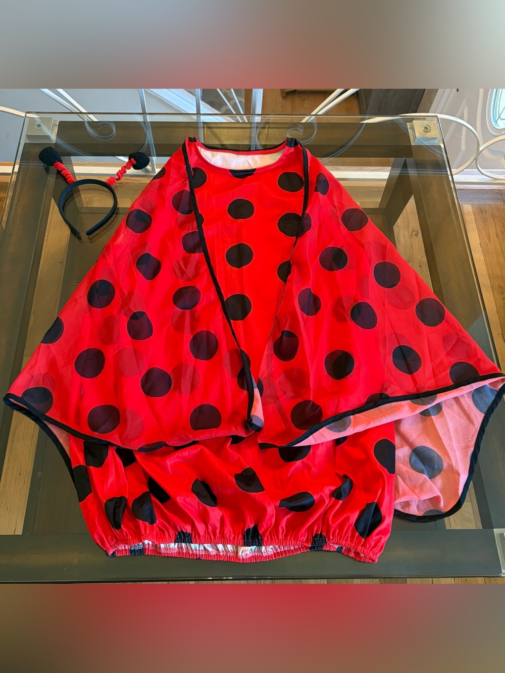 Ladybug Costume Set Red Black Polka Dot Bubble Tunic with Sheer Cape Size XXL